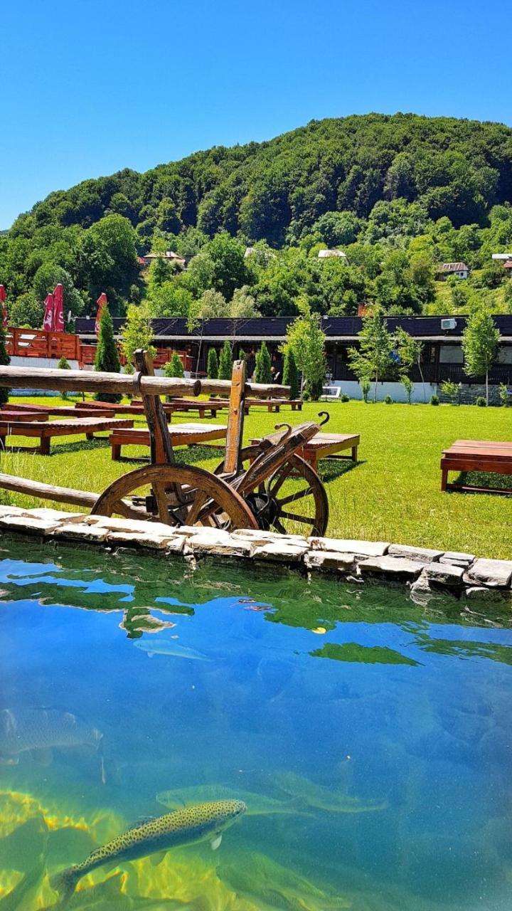 Casa Lazaroiu Hotel Curtea de Argeş Eksteriør billede